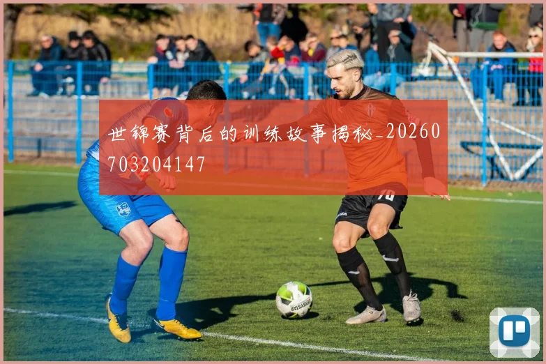 世锦赛背后的训练故事揭秘_20260703204147